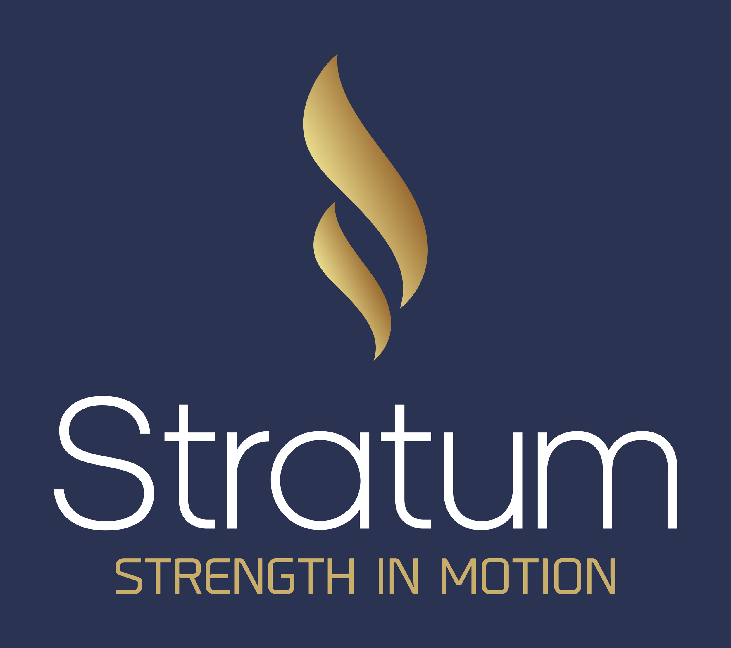 Strength and Movement Starter — Stratum strength personal training